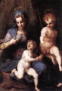 Andrea del Sarto Madonna mit Hl Johannes Spain oil painting artist